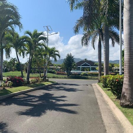 Nature'S Choice Home Richmond Palms, Jamaica Exterior foto