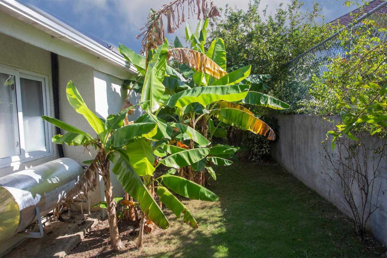Nature'S Choice Home Richmond Palms, Jamaica Exterior foto